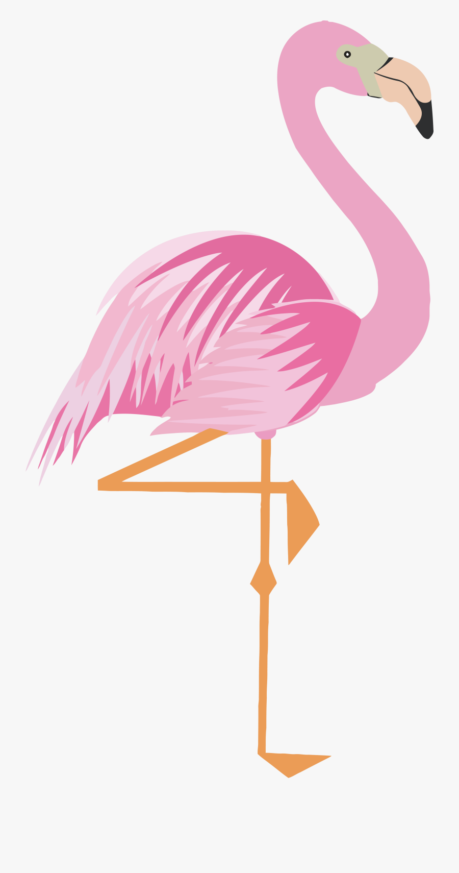 Flamingo Clipart Png - นก ฟ ลา มิ ง โก้ การ์ตูน, Transparent Clipart