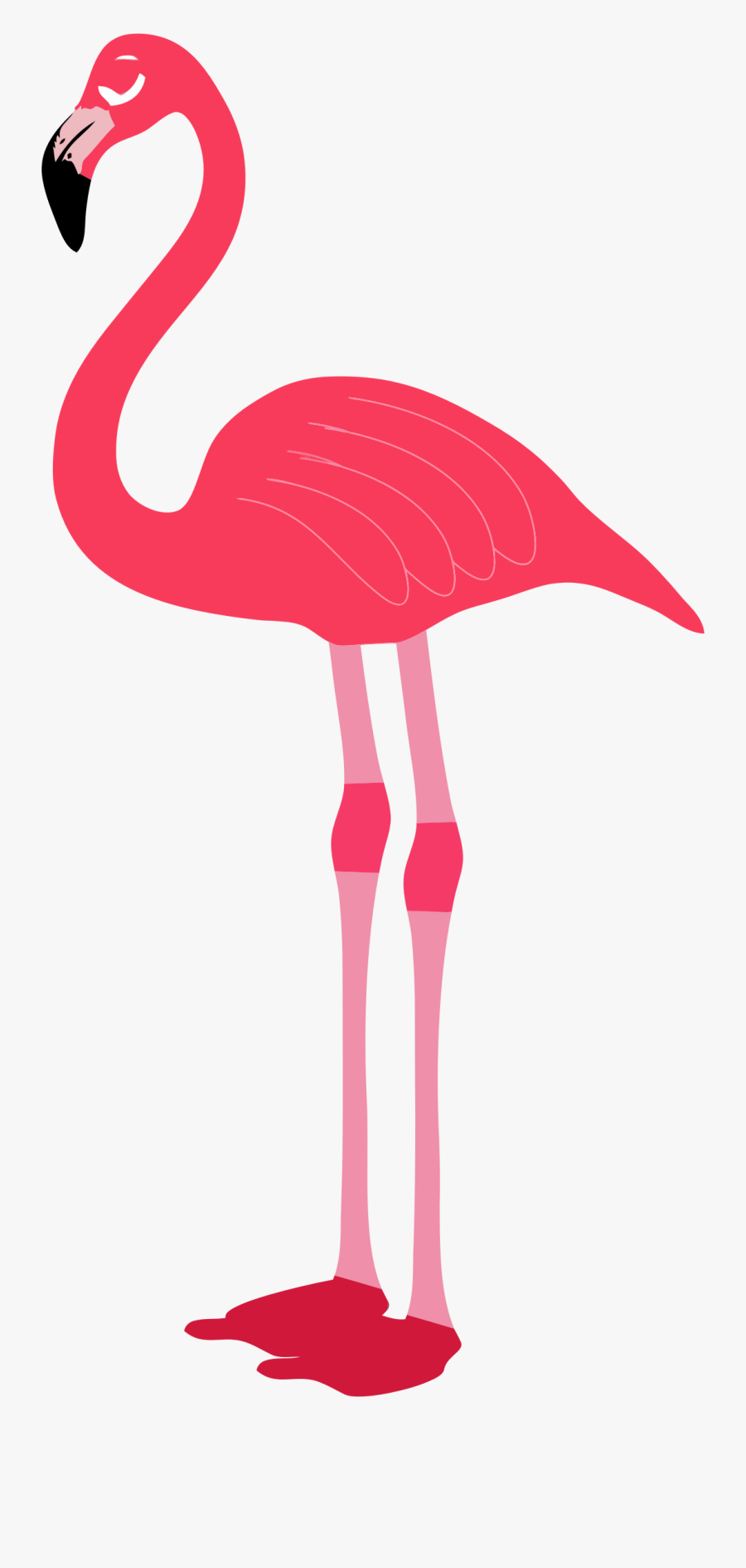 Flamingo Clip Art Free Clipart Images - Flamingo Clipart Transparent Background, Transparent Clipart