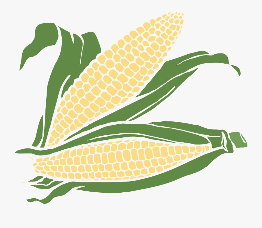 Transparent Corn Plant Png - Ear Of Corn Clip Art, Transparent Clipart