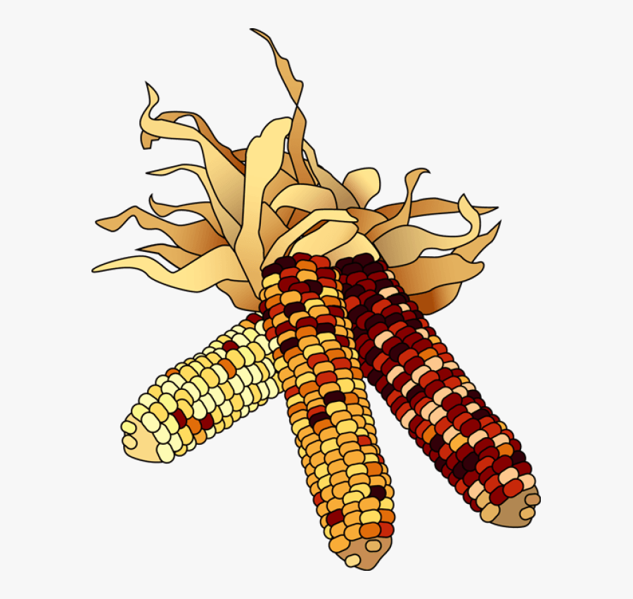 Native American Corn Clipart - Fall Corn Clipart, Transparent Clipart