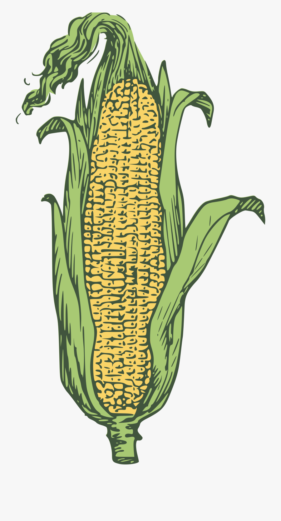 Ear Of Corn Clipart - Ear Maize, Transparent Clipart