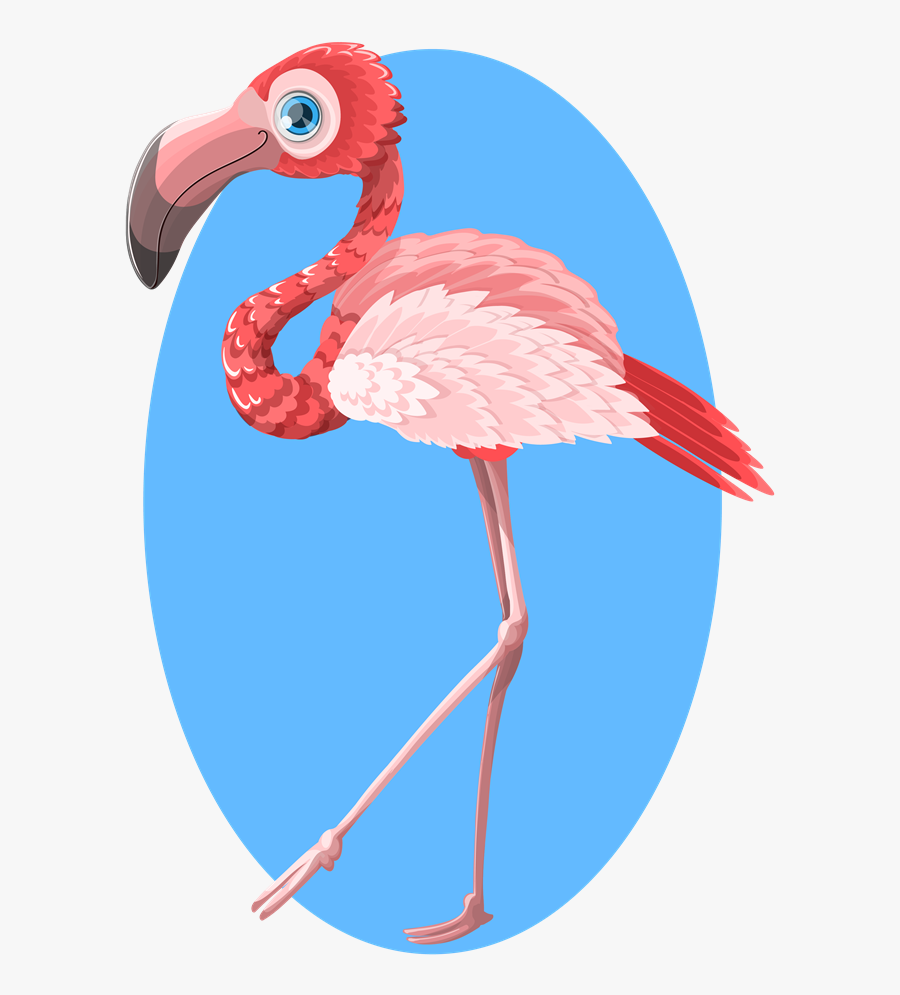 Flamingo Clipart Free - Glamingo Drawing, Transparent Clipart