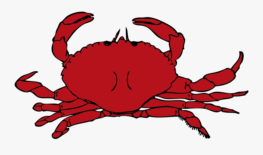 crabs clipart clipart crab png free transparent clipart clipartkey crabs clipart clipart crab png free