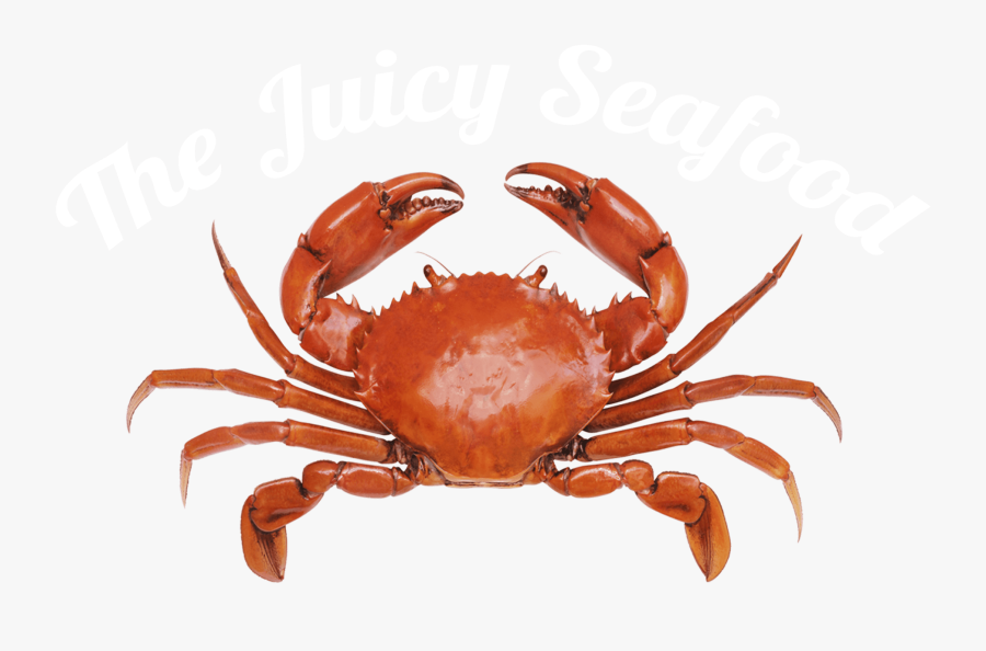 Local Seafood Restaurant Savannah, Ga - Crab With White Background, Transparent Clipart