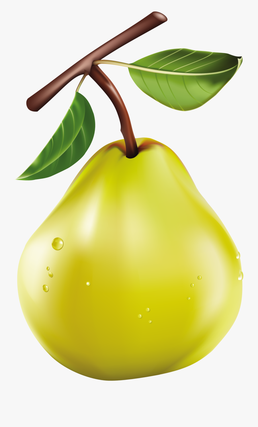 Vegetables, Clip Art, Dibujo, Fruit, Veggies, Illustrations - 2 Pears ...