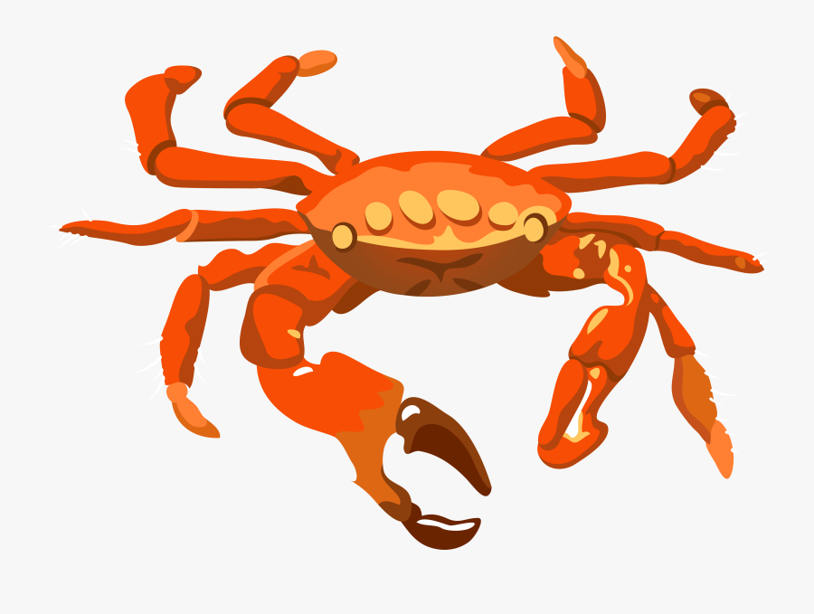 Crab Png Transparent Image - Crab Transparent, Transparent Clipart