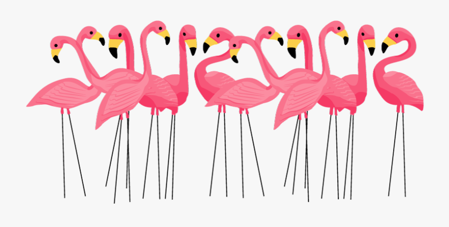 Flamingo Png Transparent Images - Flamingo Party Invitation, Transparent Clipart