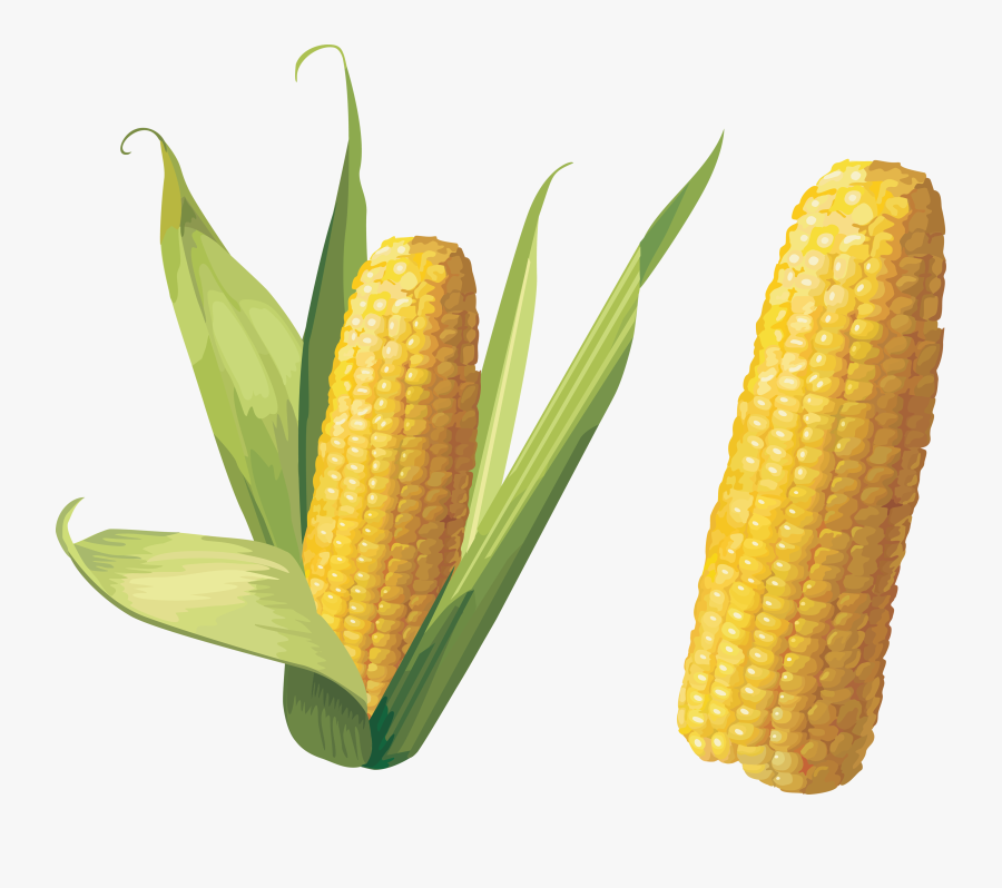 Twenty Three Isolated Stock - Corn Png, Transparent Clipart