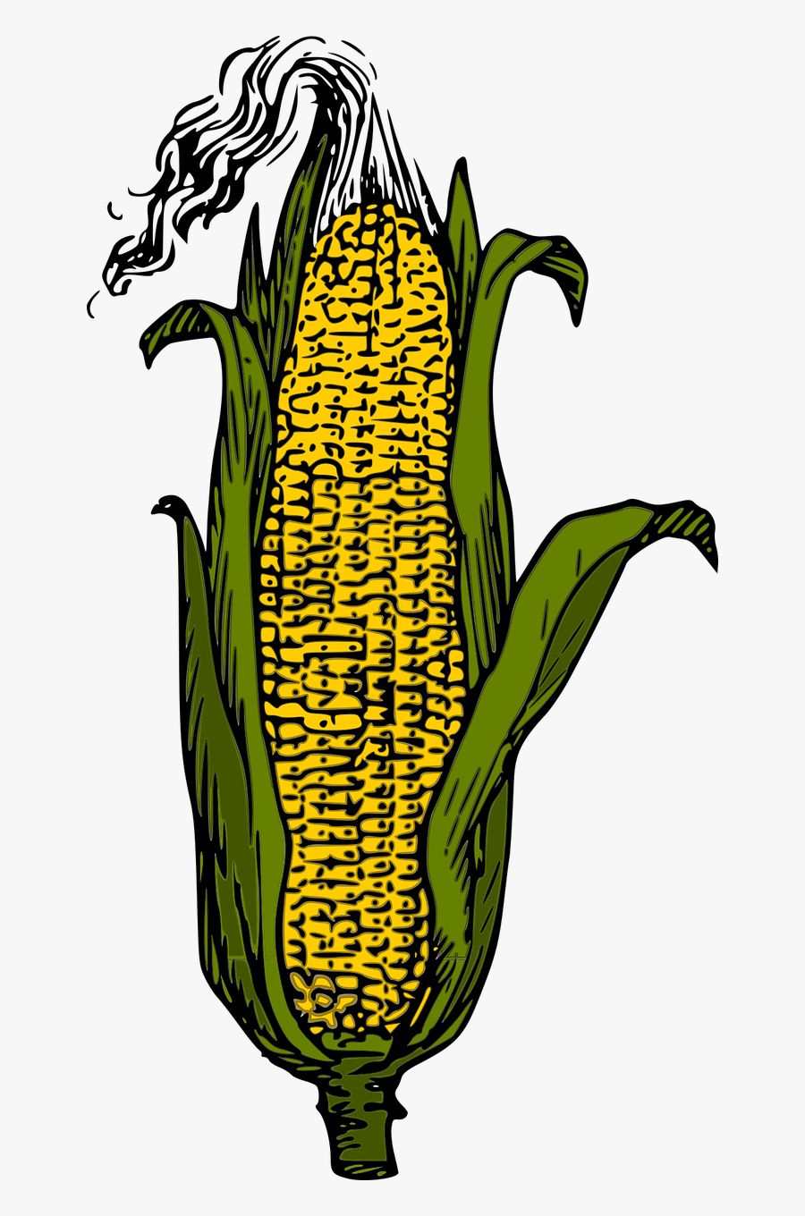 Maize,plant,flower - Green Corn Clip Art, Transparent Clipart