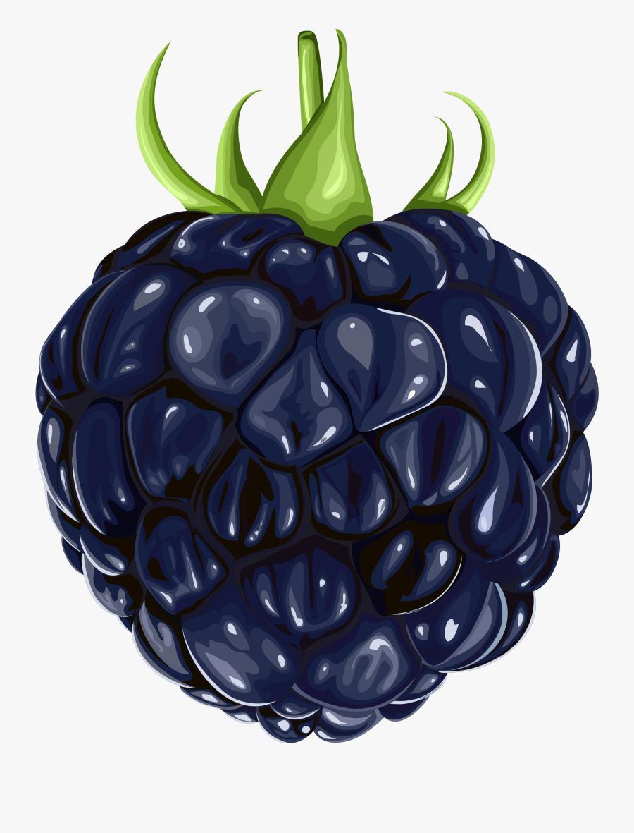 Transparent Fruits Clipart - Blackberry Clipart, Transparent Clipart