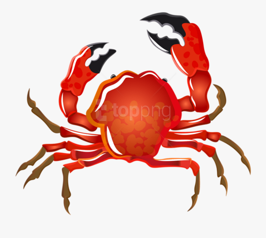 Crab Clipart Crab Feed - Crab Transparent Background, Transparent Clipart