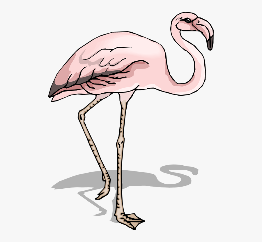 Gambar Sayap Burung Flamingo Free Transparent Clipart