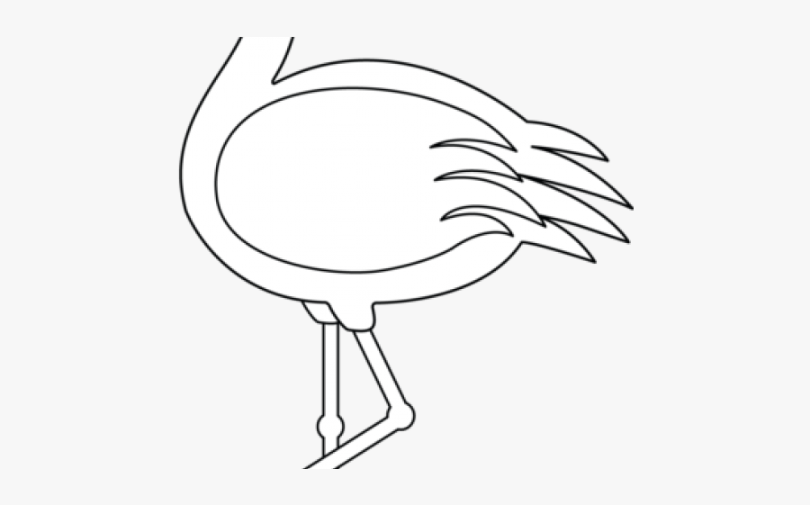 Flamingo Clipart Beak - Drawing, Transparent Clipart