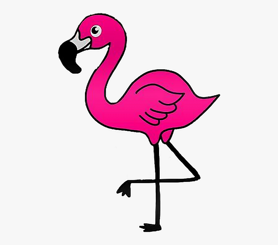 free-flamingo-cliparts-download-free-flamingo-cliparts-png-images