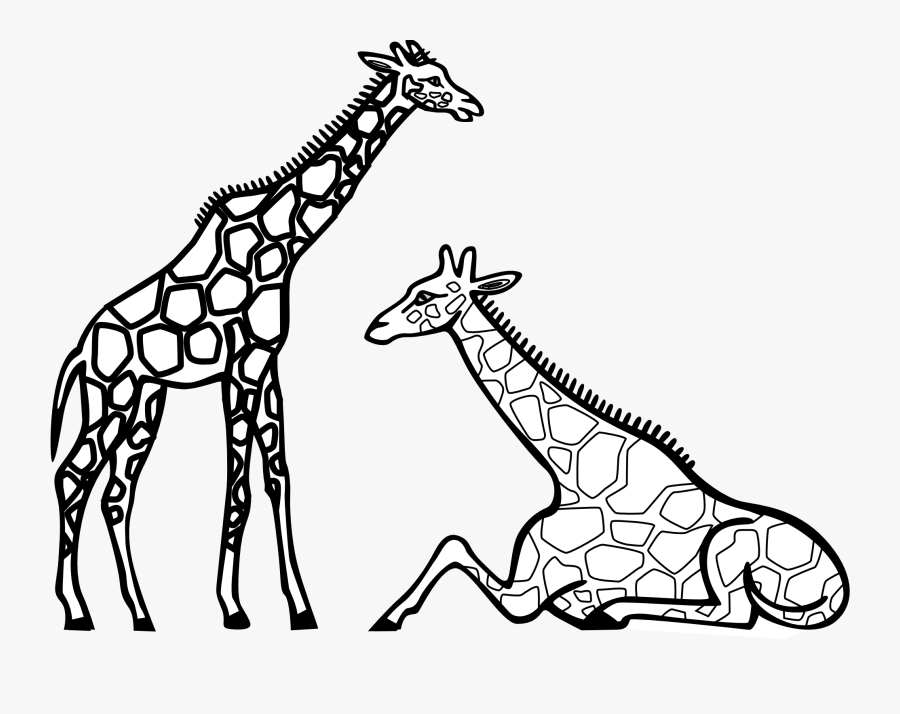 Star Wars Gun Clipart - Giraffes Clipart Black And White, Transparent Clipart