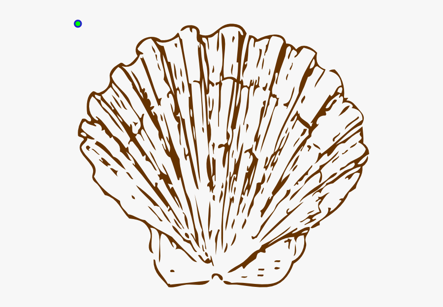 Brown Shell Beach Svg Clip Arts - Scallop Shell Clipart, Transparent Clipart