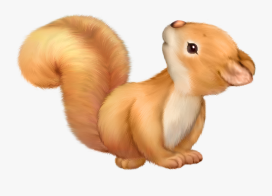 Squirrel Clip Art Clipart Cliparts For You - Cute Baby Squirrel Clipart, Transparent Clipart