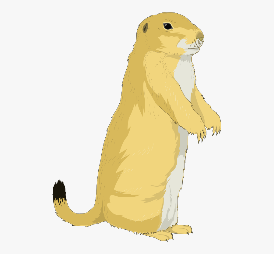 Squirrel Clipart A Squirrels - Cute Prairie Dog Clipart, Transparent Clipart