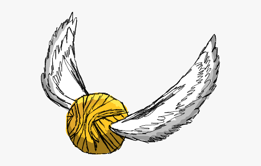 Harry Potter Quidditch Drawing, Transparent Clipart