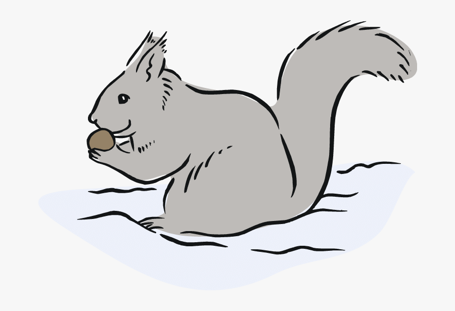 Free Squirrel Clipart - Squirrel Eating In Cartoon, Transparent Clipart