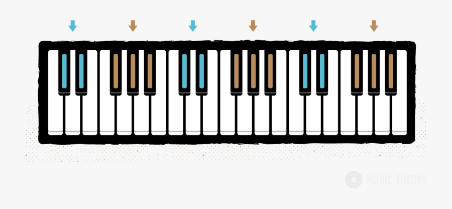 Clip Art Keys Layout Of The - Keyboard Notes In 3 Octaves, Transparent Clipart