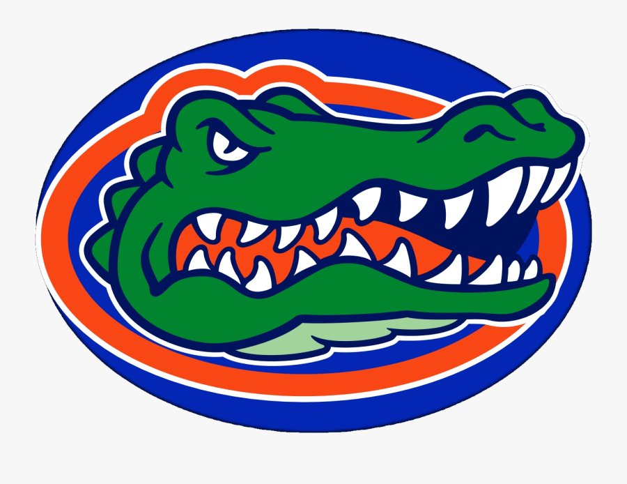 Banner Transparent Library Florida Gator Clipart - Logo University Of Florida, Transparent Clipart