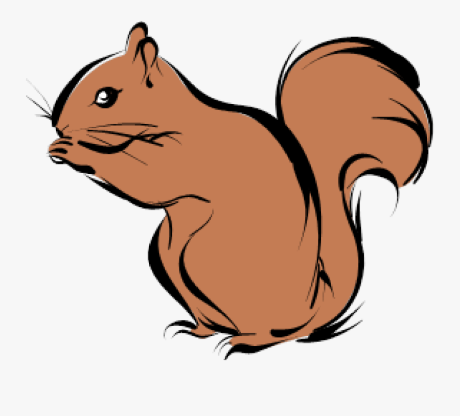 Transparent Chipmunk Png - Clip Art Squirrel Cartoon, Transparent Clipart