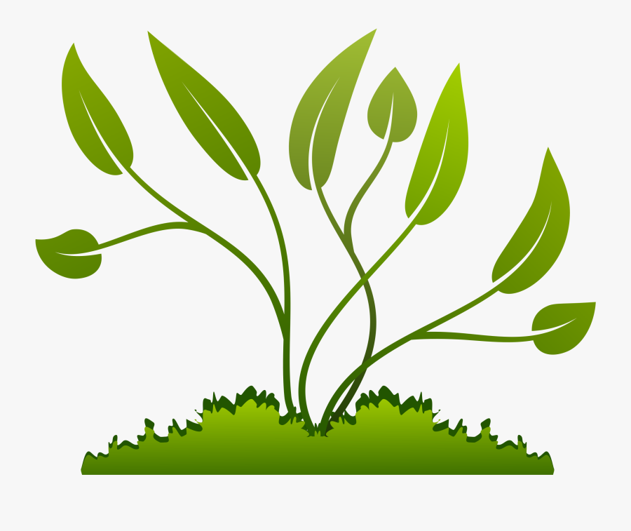 Stem,grass Family,clip Art,flowering Plant,graphics - Small Plant Growing Png, Transparent Clipart