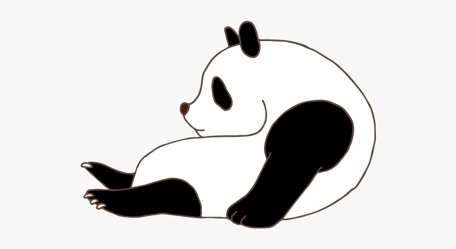 Panda - Illustration, Transparent Clipart