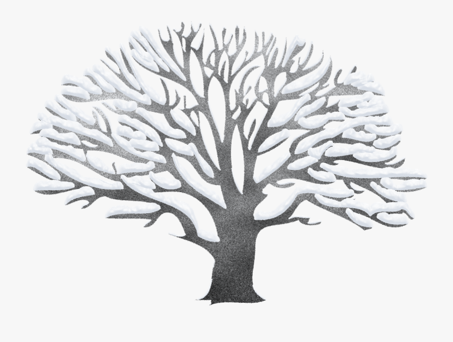 Transparent Winter Clipart - Winter Tree Clipart Png, Transparent Clipart