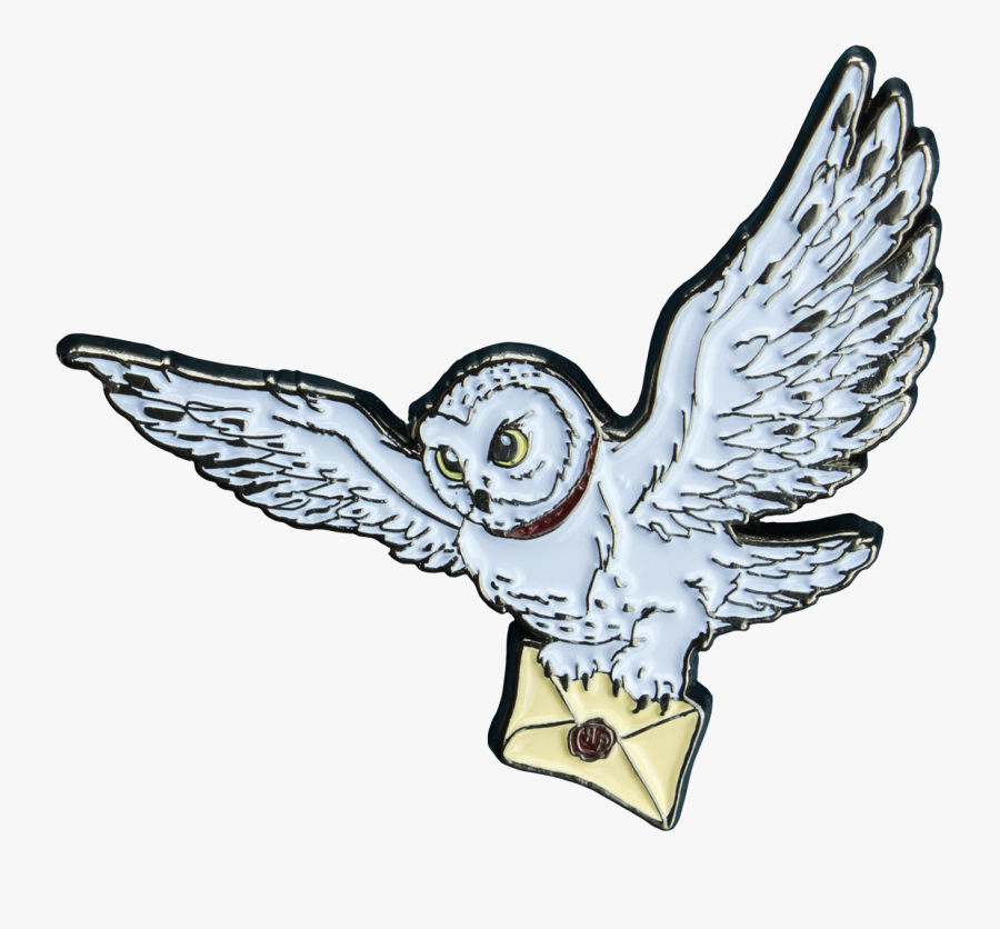Harry Potter - Harry Potter With Hedwig Cartoon, Transparent Clipart