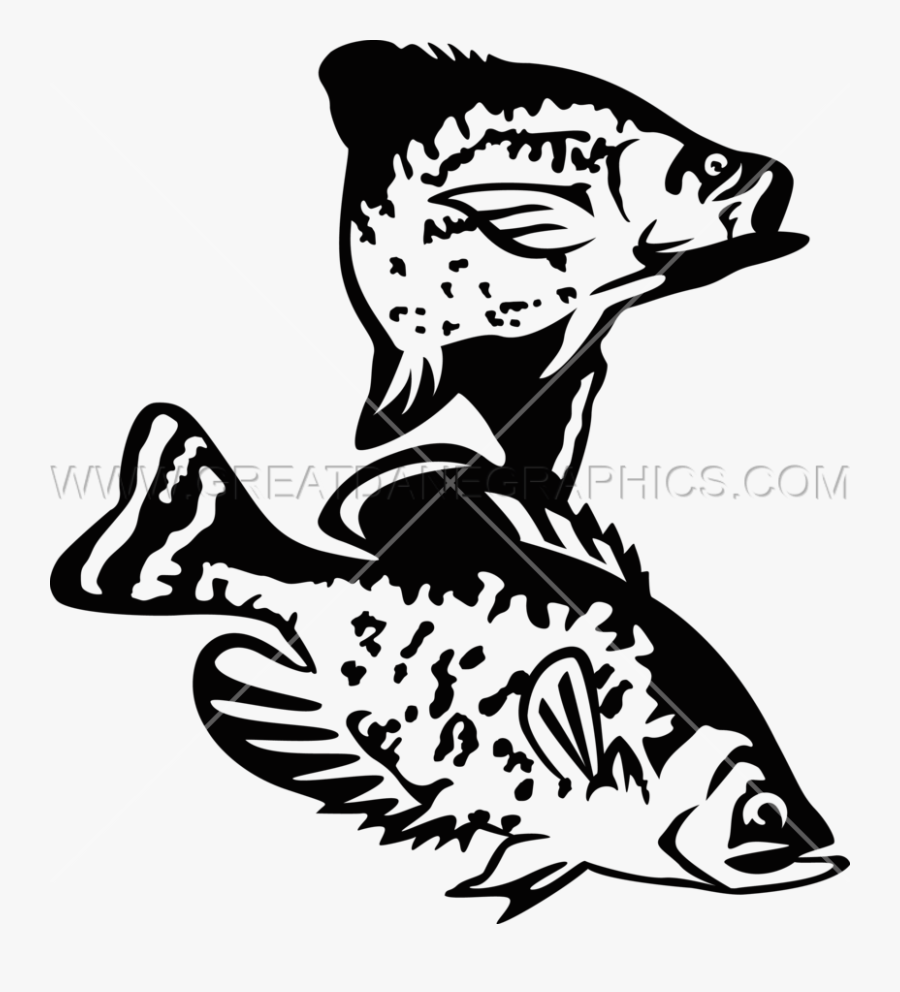 Crappie Drawing At Getdrawings, Transparent Clipart