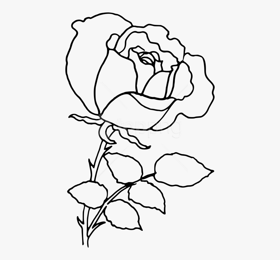 Rose Outline Png - Rose Outline Transparent Background Png, Transparent Clipart