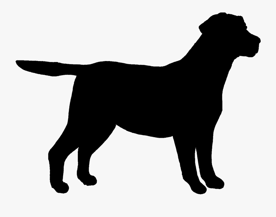 Labrador Retriever Outline - Black Outline Of Dog , Free Transparent 