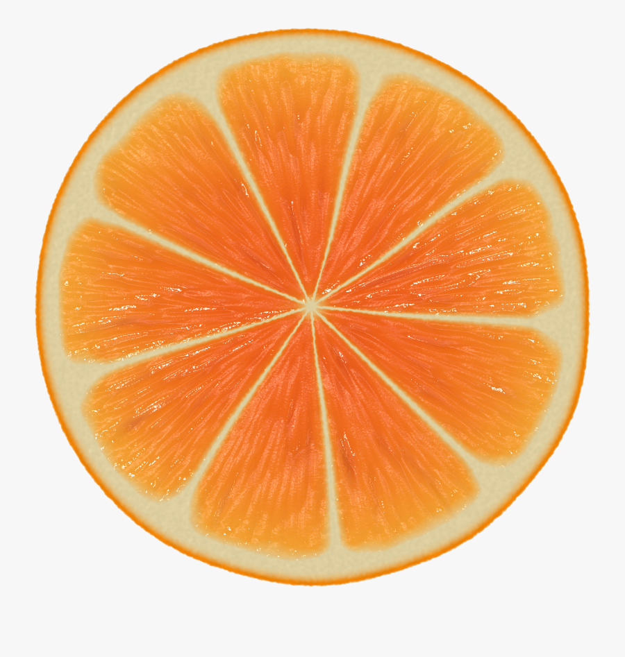 Large Orange Slice - Nature Patterns In Mathematics, Transparent Clipart