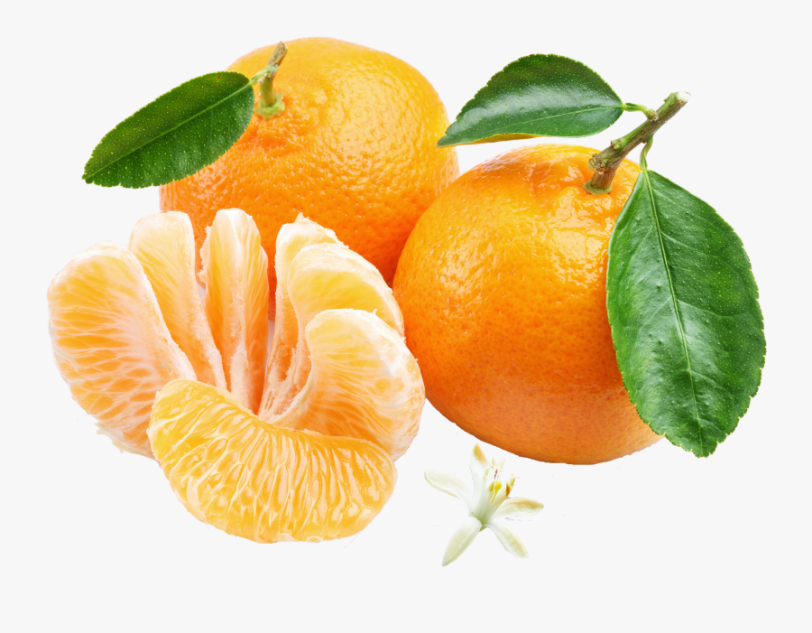 Orange Mandarin Png , Transparent Cartoons - Mandarin Orange Png, Transparent Clipart