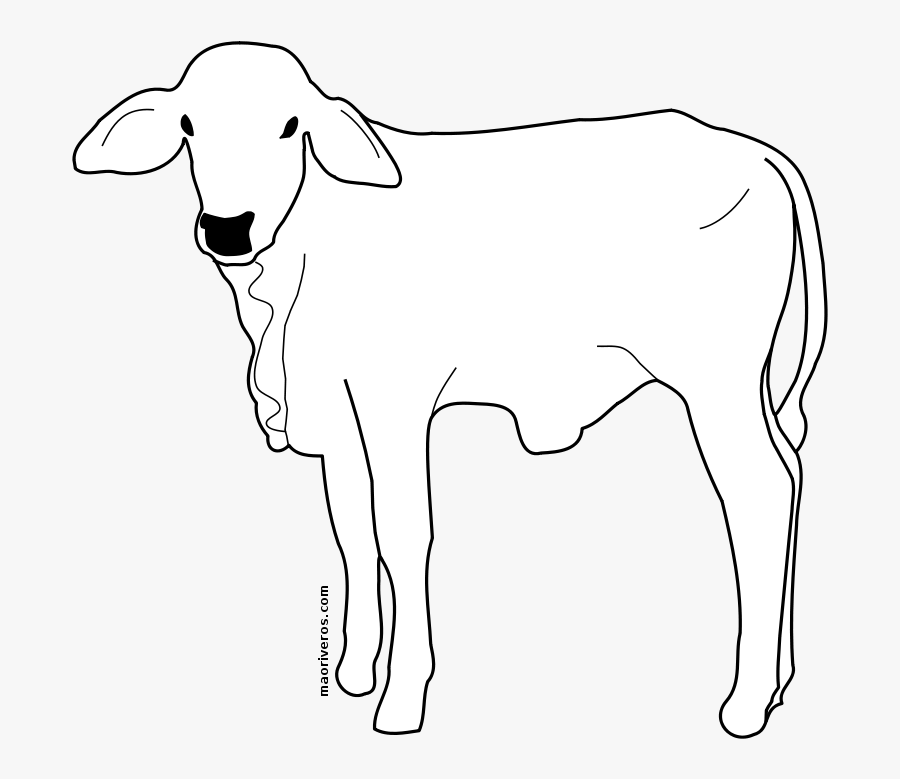 Becerro - Pobarvanke Krava In Teliček, Transparent Clipart