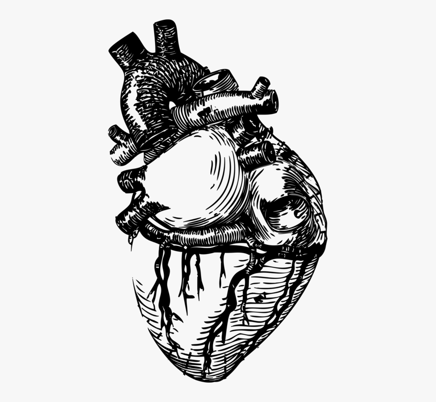 Art,monochrome Photography,headgear - Human Heart Clipart Black And White, Transparent Clipart