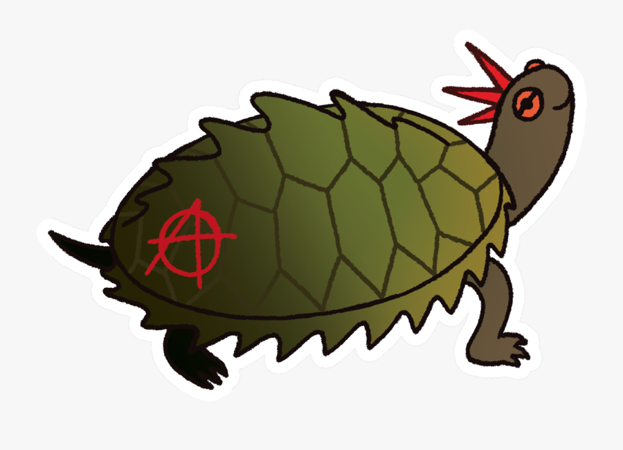Transparent Cute Turtle Png - Cartoon, Transparent Clipart