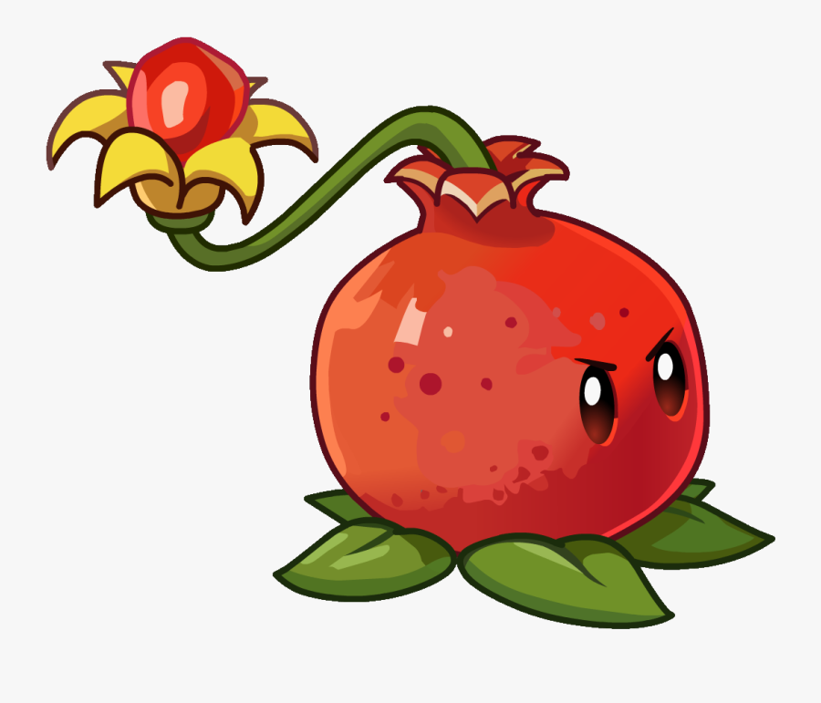 Pomegranate Clipart Winter - Pvz Plants Pult , Free Transparent Clipart ...