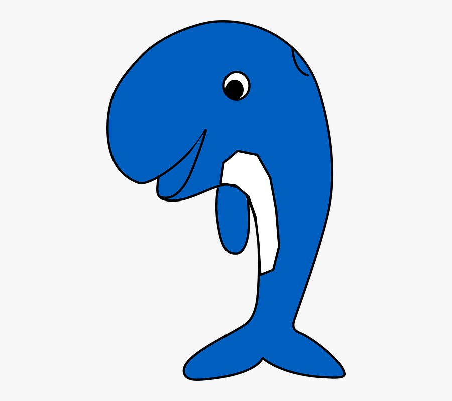 Imagem Gratis No Pixabay Baleia Golfinho Pulando Salto - Art Clip Of Blue Whale, Transparent Clipart