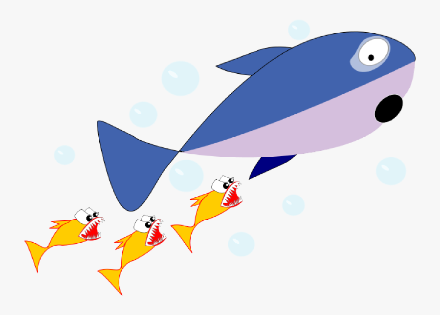 Cute Shark Free Download Best On X - Small Fish Chasing Big Fish, Transparent Clipart