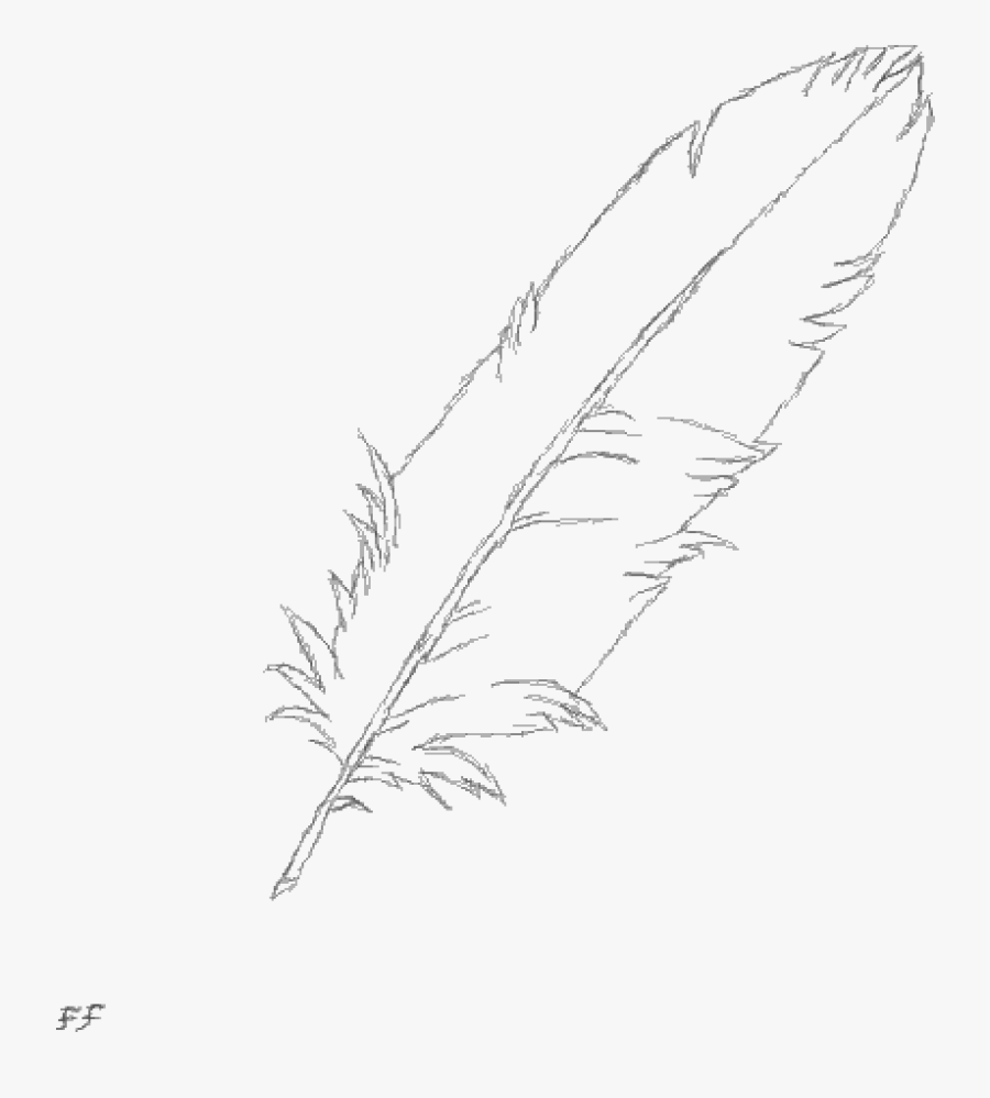 Clip Art Feather Sketch - Sketch , Free Transparent Clipart - ClipartKey