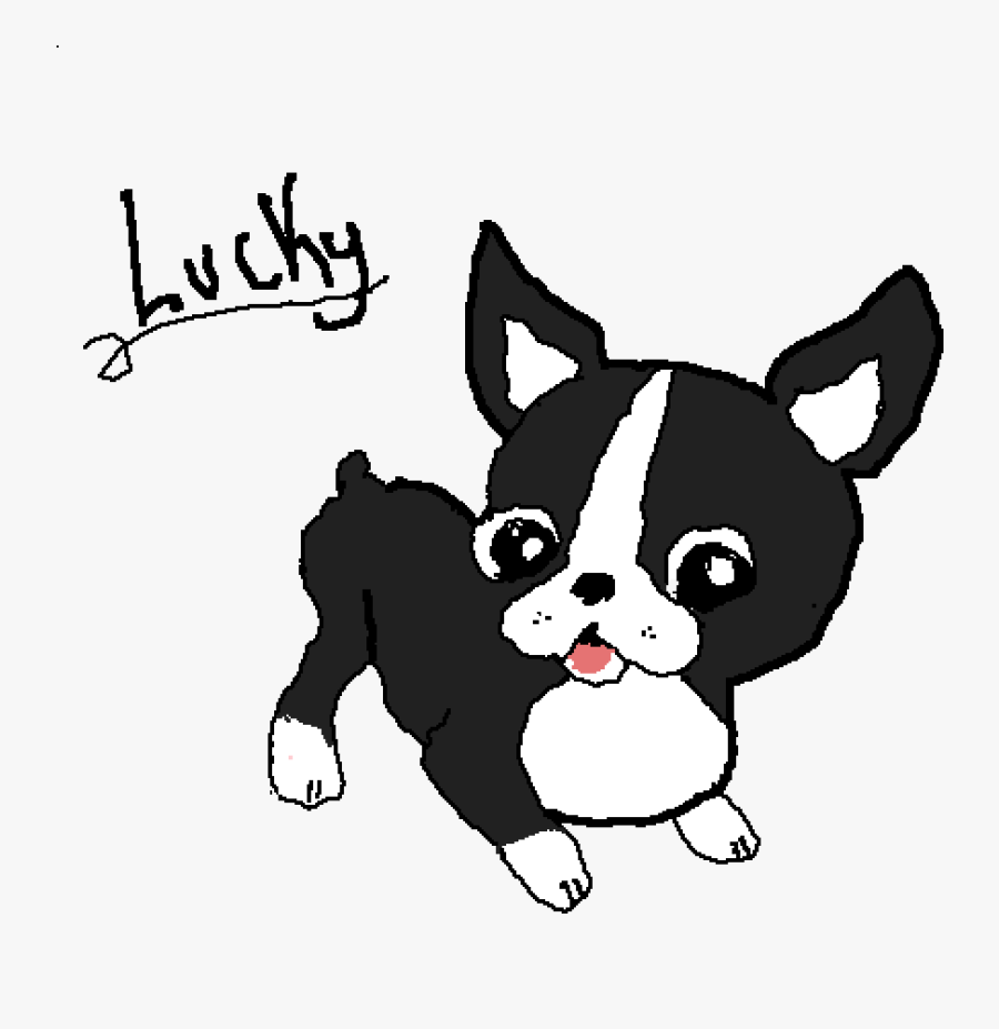 Boston Terrier Png - Kawaii Boston Terrier, Transparent Clipart