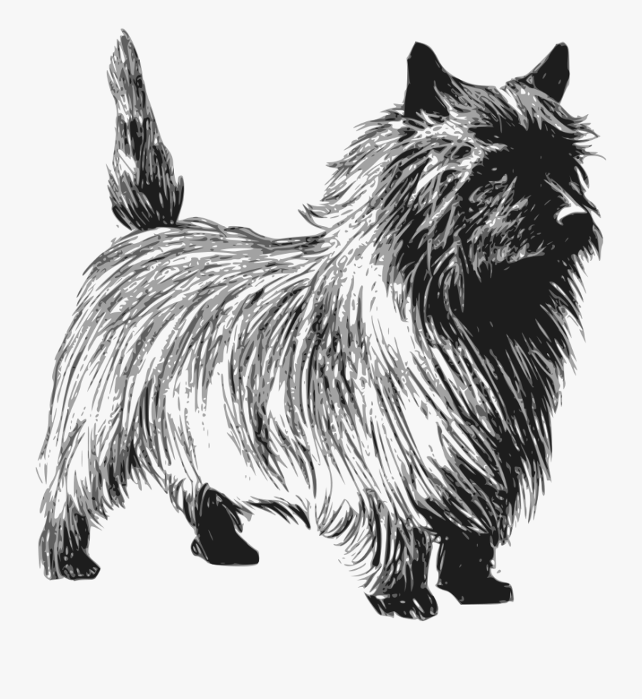Cairn Terrier Clipart, Transparent Clipart