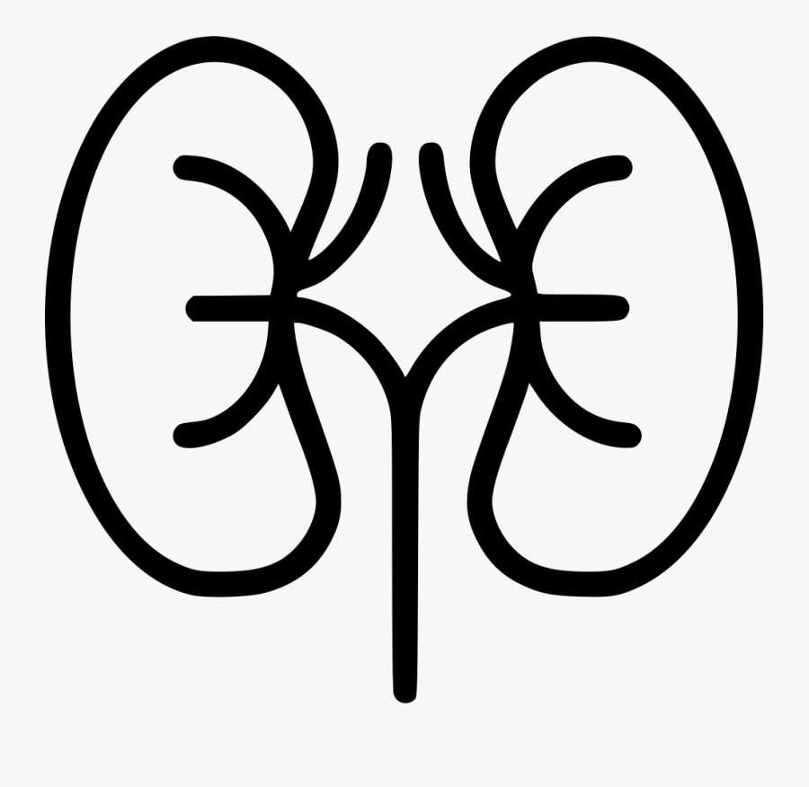 Transparent Kidneys Png - Icon Of Kidney Failure, Transparent Clipart