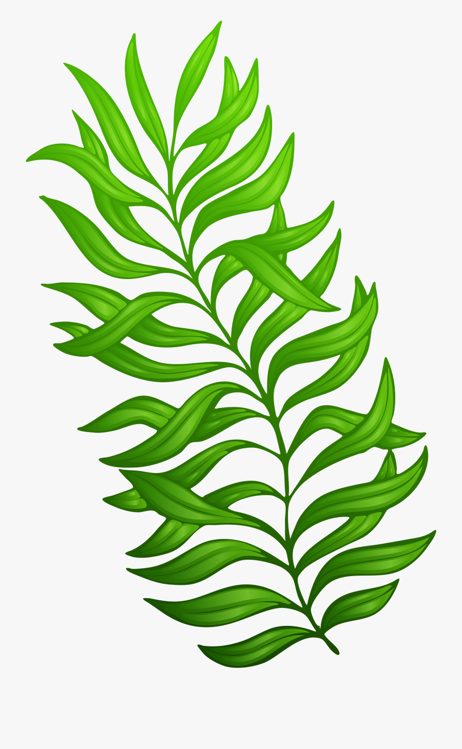 Exotic Green Image Gallery - Plant Clip Art Png, Transparent Clipart