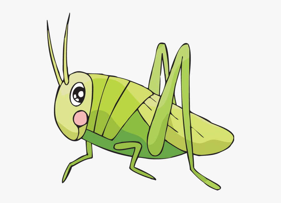 Drawing Cricket Wing Transparent - Easy To Draw Crickets, Transparent Clipart