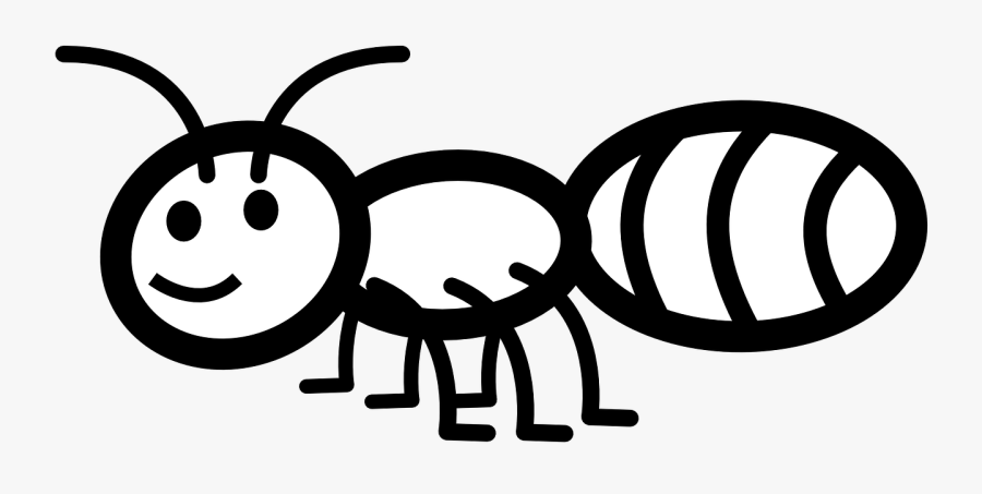 Outline Of An Ant, Transparent Clipart