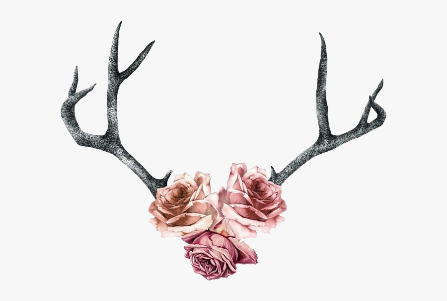 Antler Clipart Boho - Deer And Rose Tattoo, Transparent Clipart